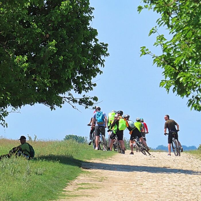Transylvanian Gravel Odyssey - 9-Day Guided Cycling Adventure - Gravel Roads to Tălișoara Manor